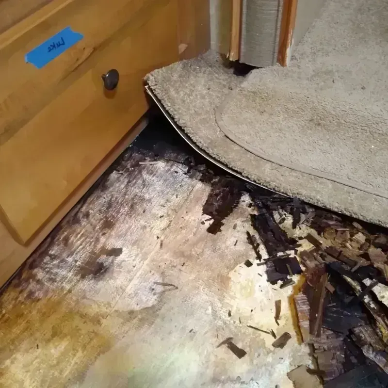 Wood Floor Water Damage in Forest, VA